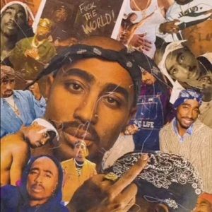 Meet your Posher, Jessel